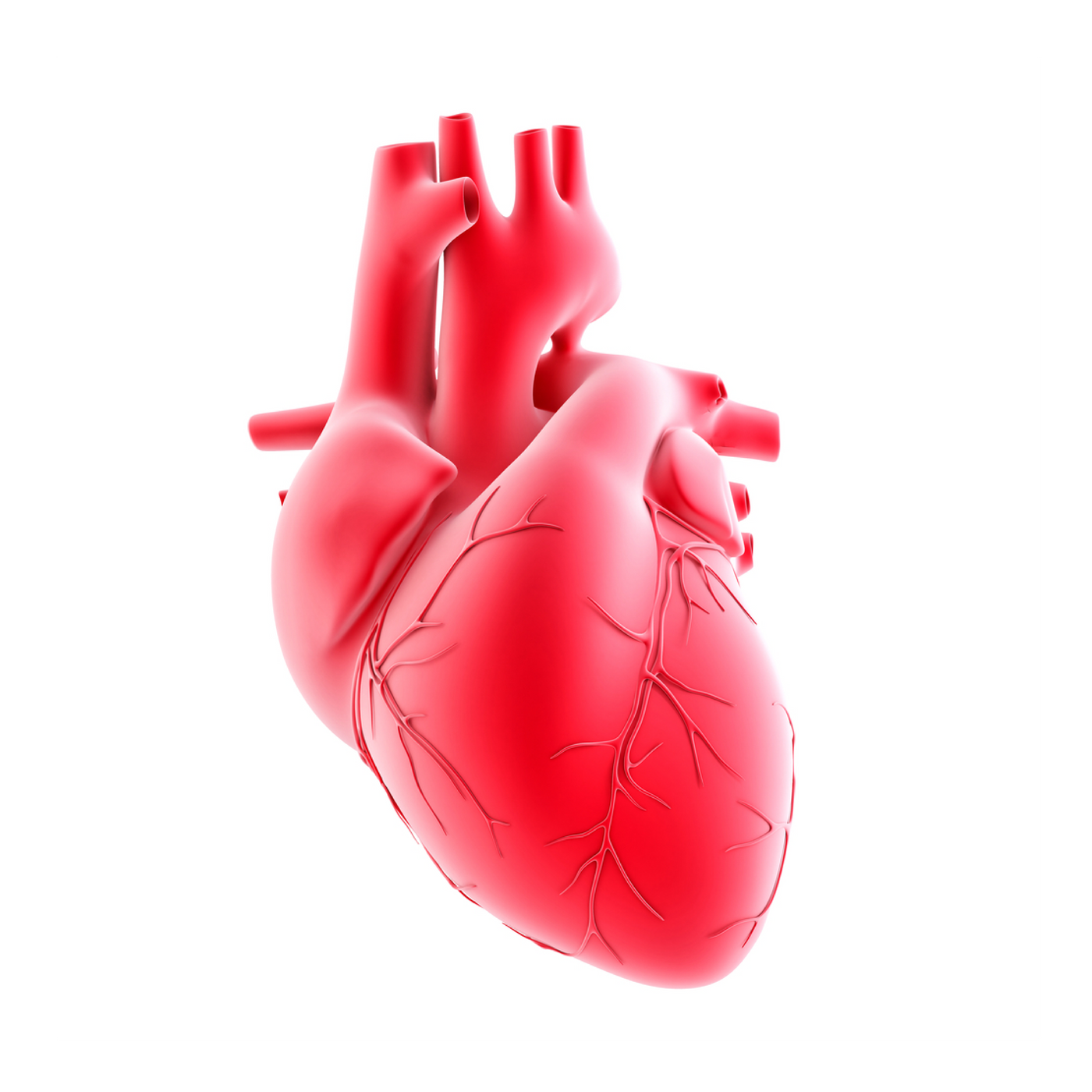 Heart Disease and Cardiovascular Care
