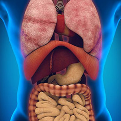 Internal medicine and primary care