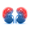 Cardio Renal Centers of America Official Site — Cardiology clinic in Blackfoot, ID — photo 1