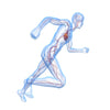 Vascular and Interventional Radiology