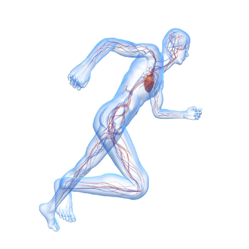 Vascular and Interventional Radiology